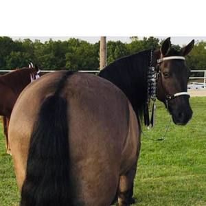 Meet your Posher, Julie